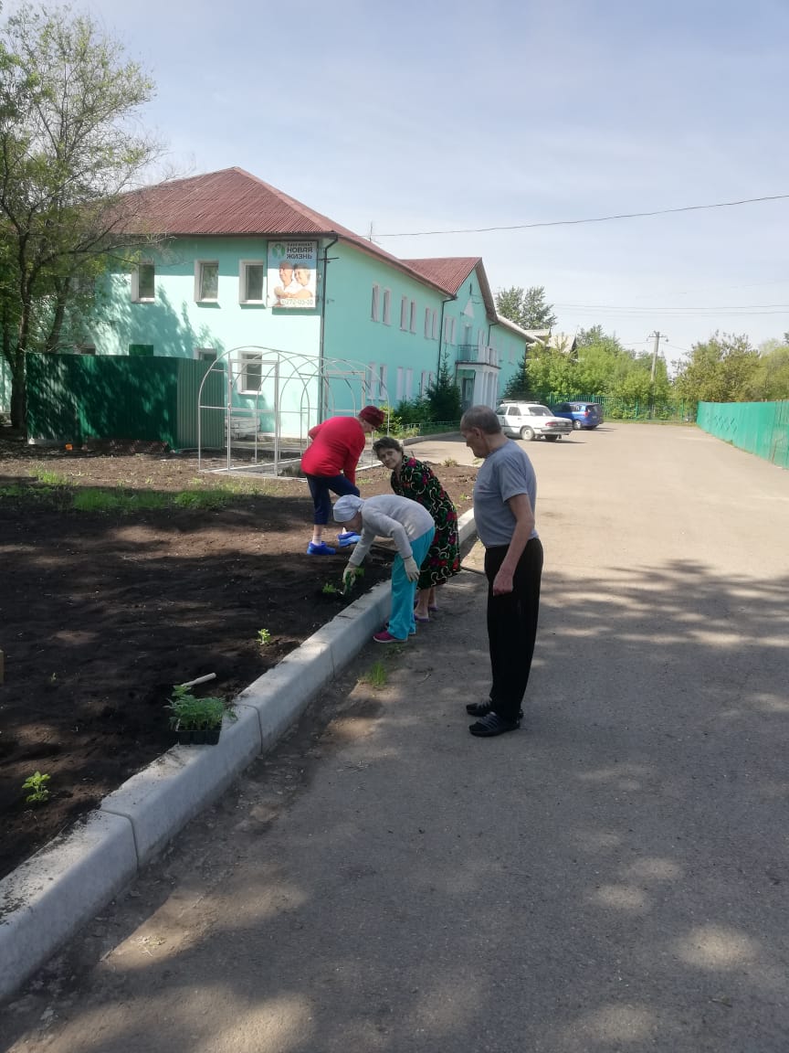 Дом престарелых г. Красноярск: А у нас сегодня благоустройство территории, высаживаем цветы