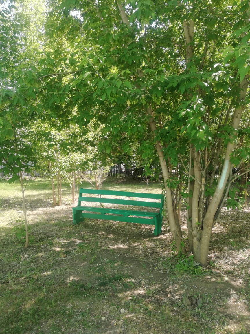 Дом престарелых г. Красноярск: На территории нашего пансионата есть специально отведенные места для прогулок