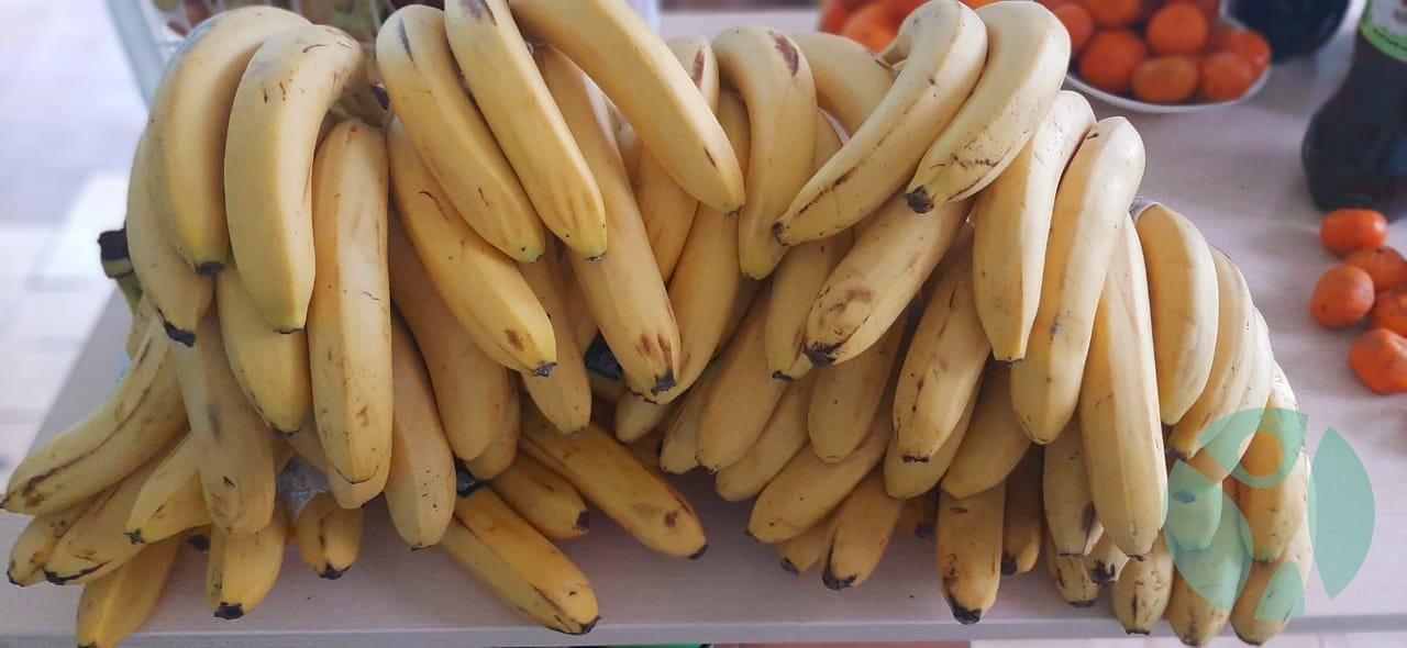 Дом престарелых г. Красноярск: Пансионату "Новая Жизнь" в Красноярске была оказана помощь, в виде фруктов: бананы, мандарины, яблоки